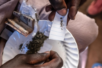 drogue « kush »
