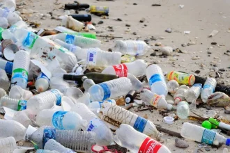 Pollution aux plastiques